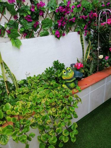 Apartamento Con Encanto En Puerto de La Cruz