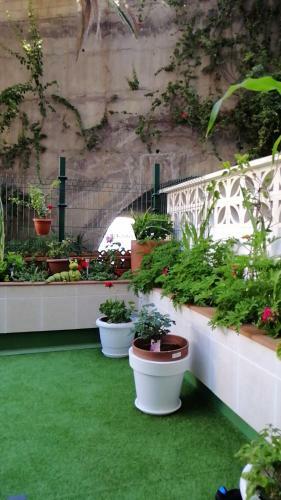 Apartamento Con Encanto En Puerto de La Cruz