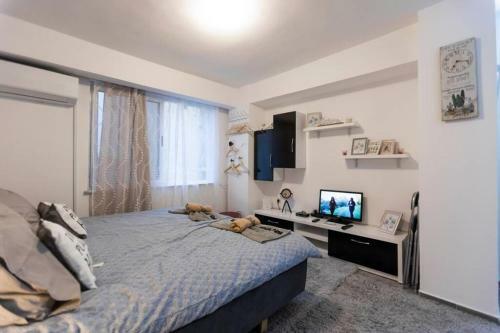 Apartamento 11 Steps From The Center, Lovely Studio
