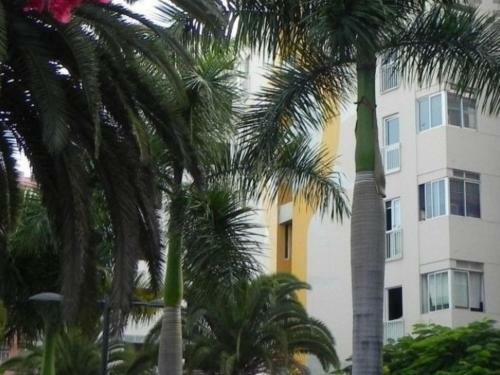 Apartamento Edificio Guajara
