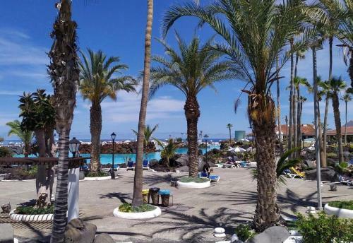Fantastico 4 - Puerto de La Cruz