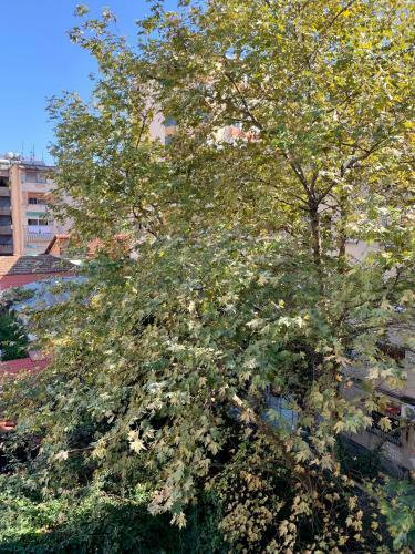 Apartamento The Nest Albania