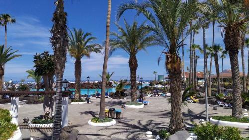 Apartamento Fantastico 1 - Studio With Terrace