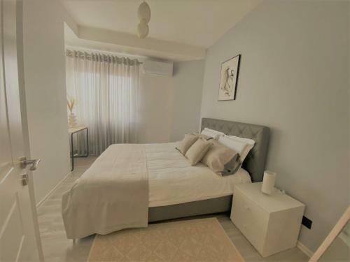 Cozy Central Tirana Apartments