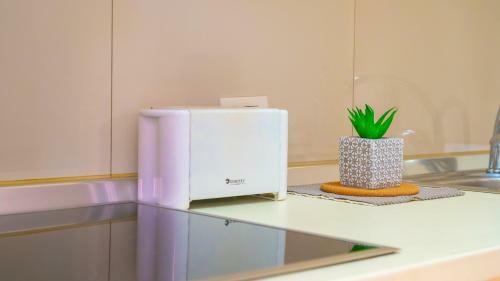 Easy Living Apartment