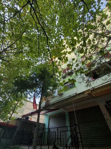 Nora's Tirana Apartment