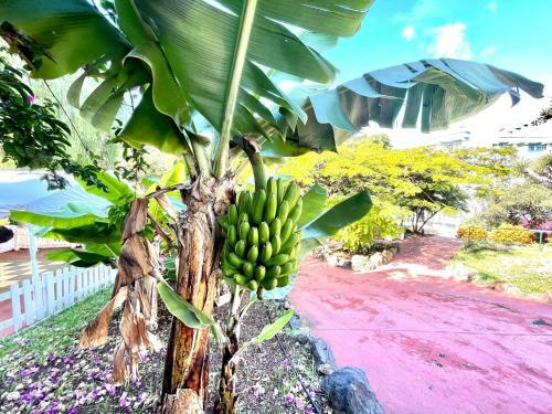Apartamento Superior Studio With Pools, Close To The Beach
