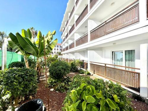Apartamento Nice Studio With Wifi, Ac, View In Puerto de La Cruz