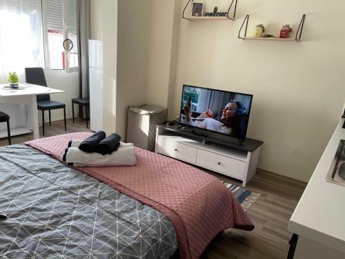 Apartamento Lovely One Bedroom Studio In Tirana