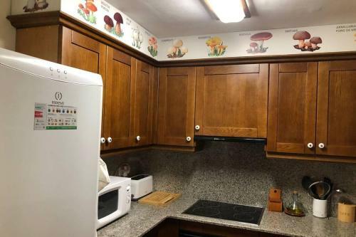 Apartamento C�ntric Allotjament A Rialp
