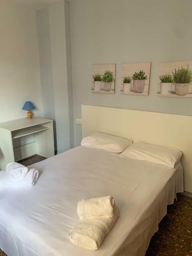 Apartamento Piso C�ntrico Y Amplio En Reus