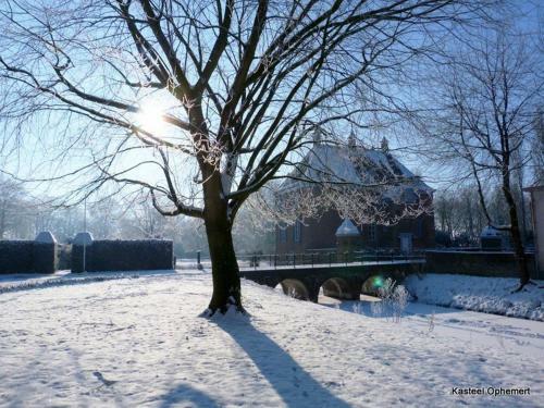 Bed & Breakfast Kasteel Ophemert