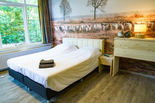 Rcn Vakantiepark De Noordster