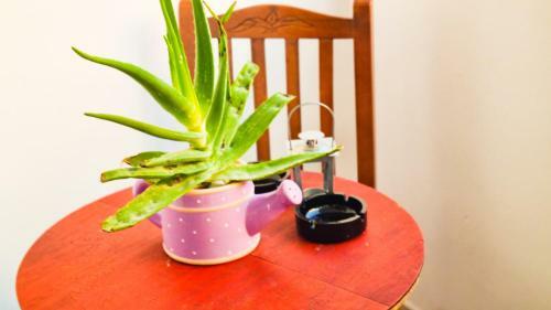 Apartamento Comfy And Cute Space In City Center