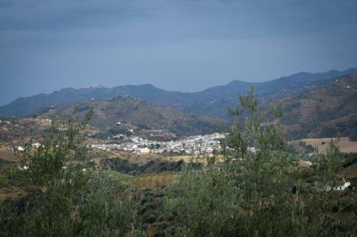 Gusta La Vista