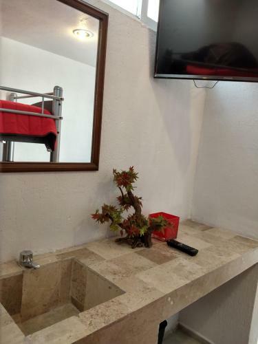 Bed & Breakfast Residence Las Trojes Cdmx