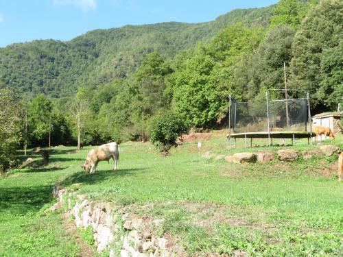 La Cabana Del Mol� de La Plana