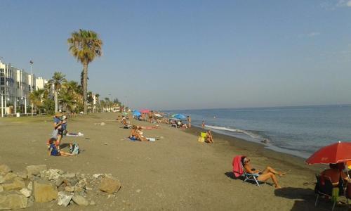 Los Rosales 1