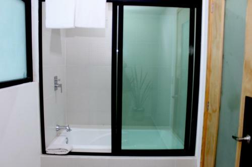 Hotel Anzures Express 158