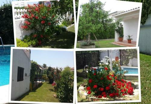 Villa 100 M From The Beach