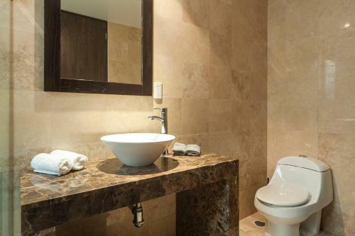 Condesa Df Wonderful Apartment