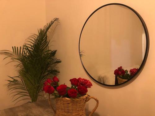 Apartamento 10 Mins Aeropuerto Cdmx