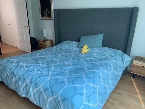Apartamento Rooftop Penthouse Lamartine Polanco