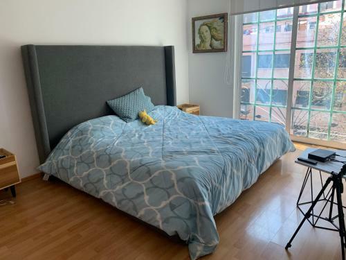 Apartamento Rooftop Penthouse Lamartine Polanco