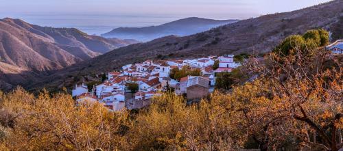 Casa T�a Lola