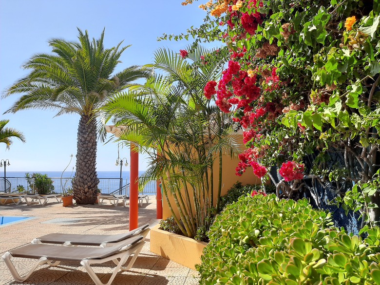 Hotel Tropical