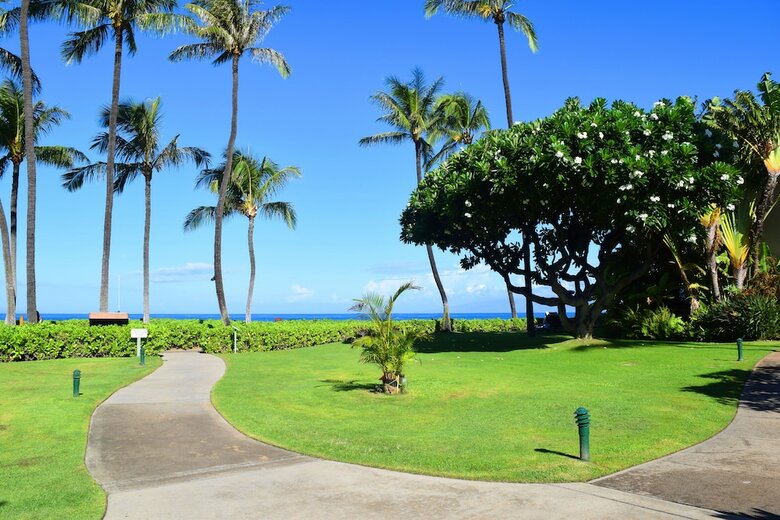 Kaanapali Beach Hotel