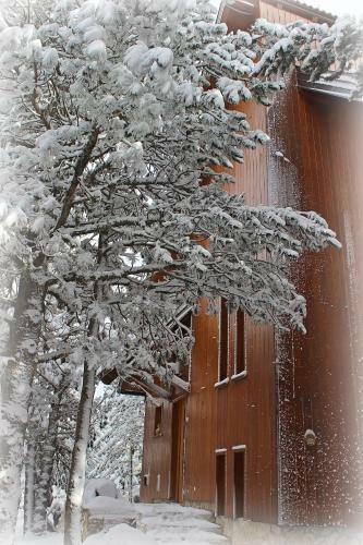 Vikendica Pahuljica