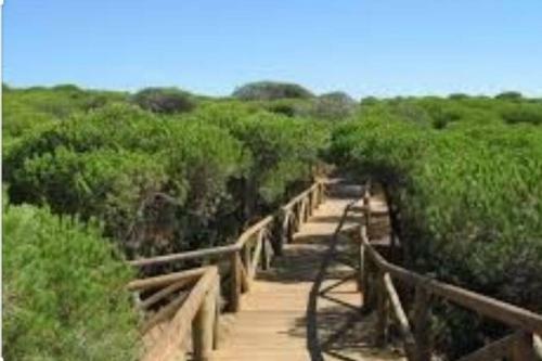 Acogedor Apartamento A 100 M. de Pinares Y Playa