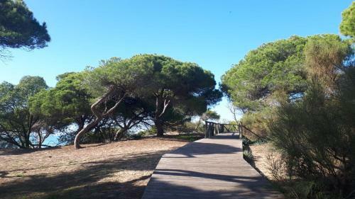 Acogedor Apartamento A 100 M. de Pinares Y Playa