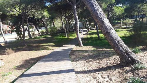 Acogedor Apartamento A 100 M. de Pinares Y Playa