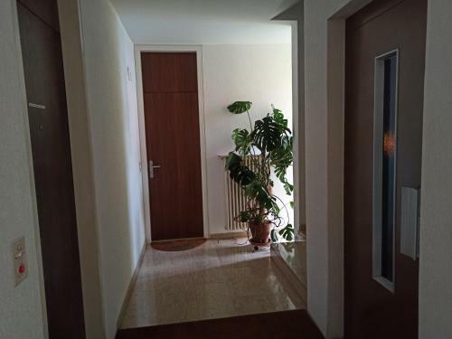 Apartamento Appartamento Seaesta Isole Brissago