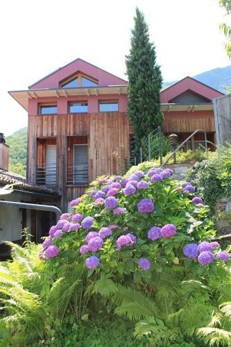 Apartamento Ferienparadies Alla Vite In Brissago