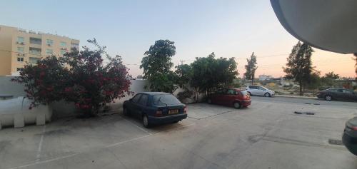 Vasilas Holiday Apartment #1