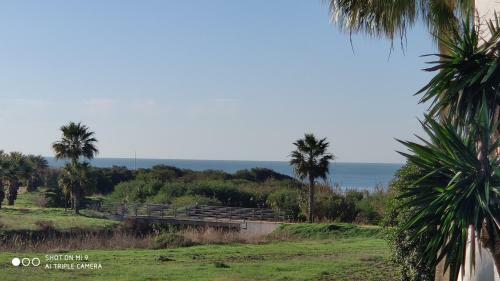 Apartamento Costa_ballena_playa_golf_infante_37_1�c