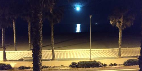 Apartamento Premi�re Ligne de Mer