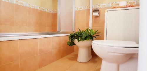 Apartamento Beach House - Roquetas de Mar