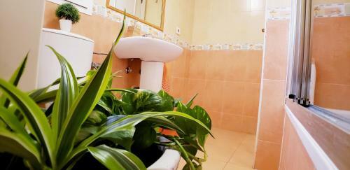 Apartamento Beach House - Roquetas de Mar