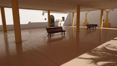 Apartamento Dandelion / Roquemar