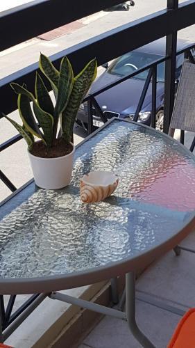 Apartamento Ria Court 33