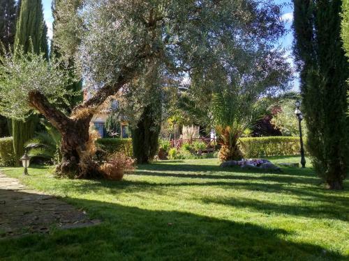 Villa Andalusian Experience