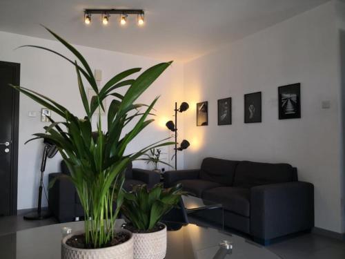 Apartamento Loizou Holdings Flat 301
