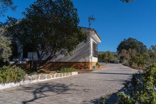 Recreo San Andr�s
