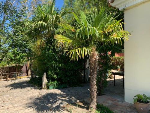 Casa Lola