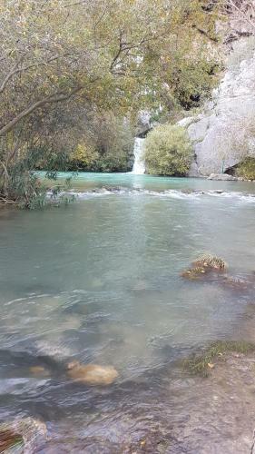 Cortijo La Laguna
