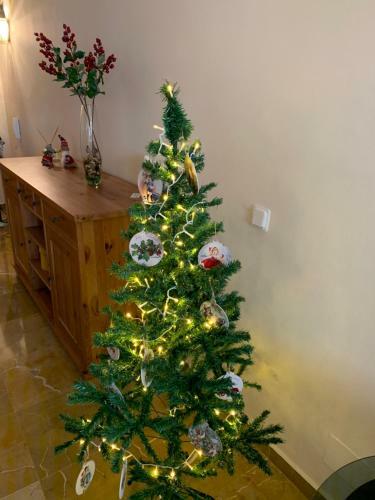 Apartamento Calle Nueva